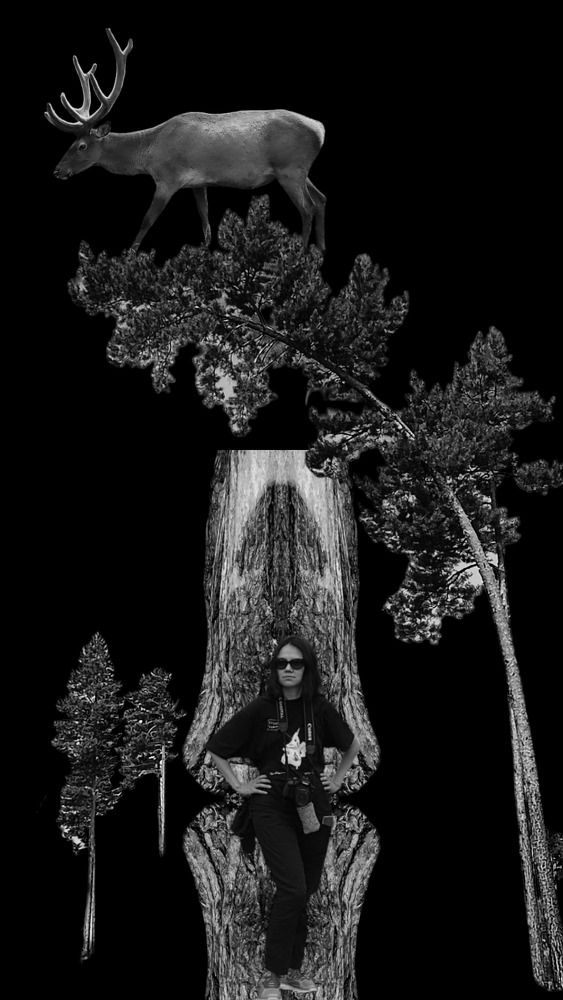 Photograph by Selina Marina