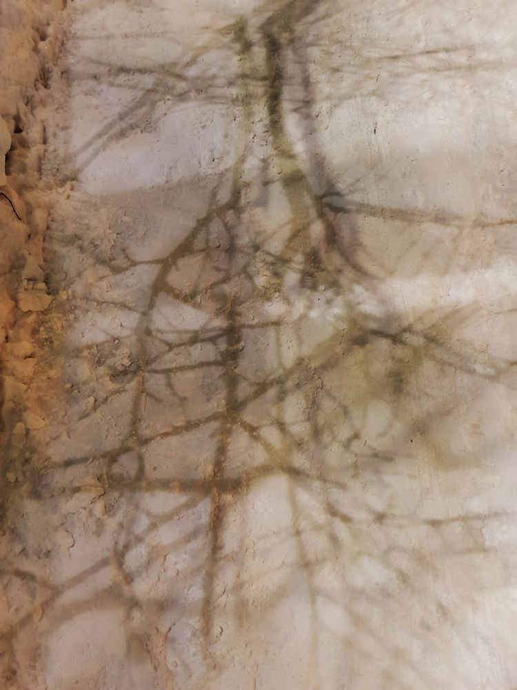 Photograph by Nataliya Kalinina