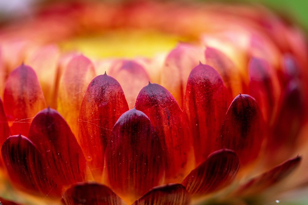 Photograph by константин