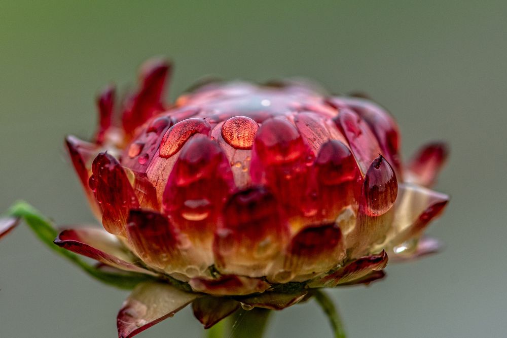 Photograph by константин