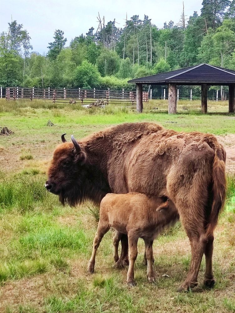 Фотография автора Елена Рузинова