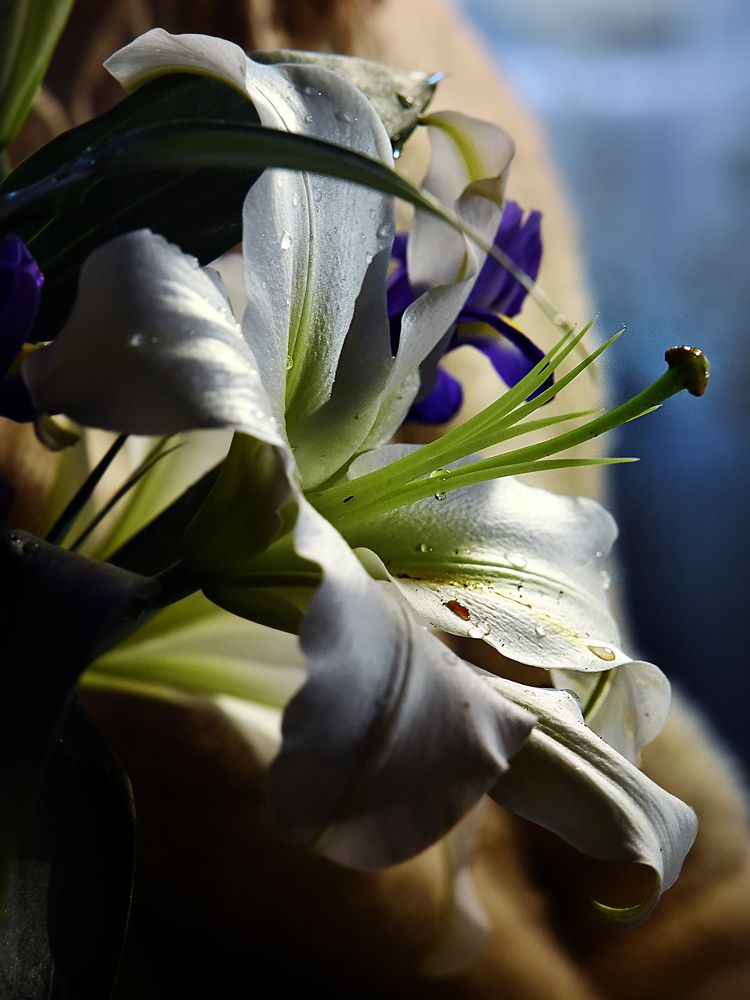 Photograph by Виктория Коршун