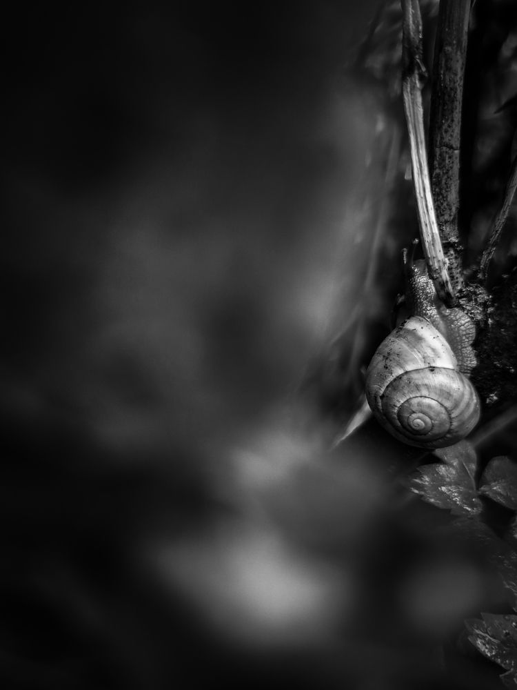 Photograph by Ketsia Samano