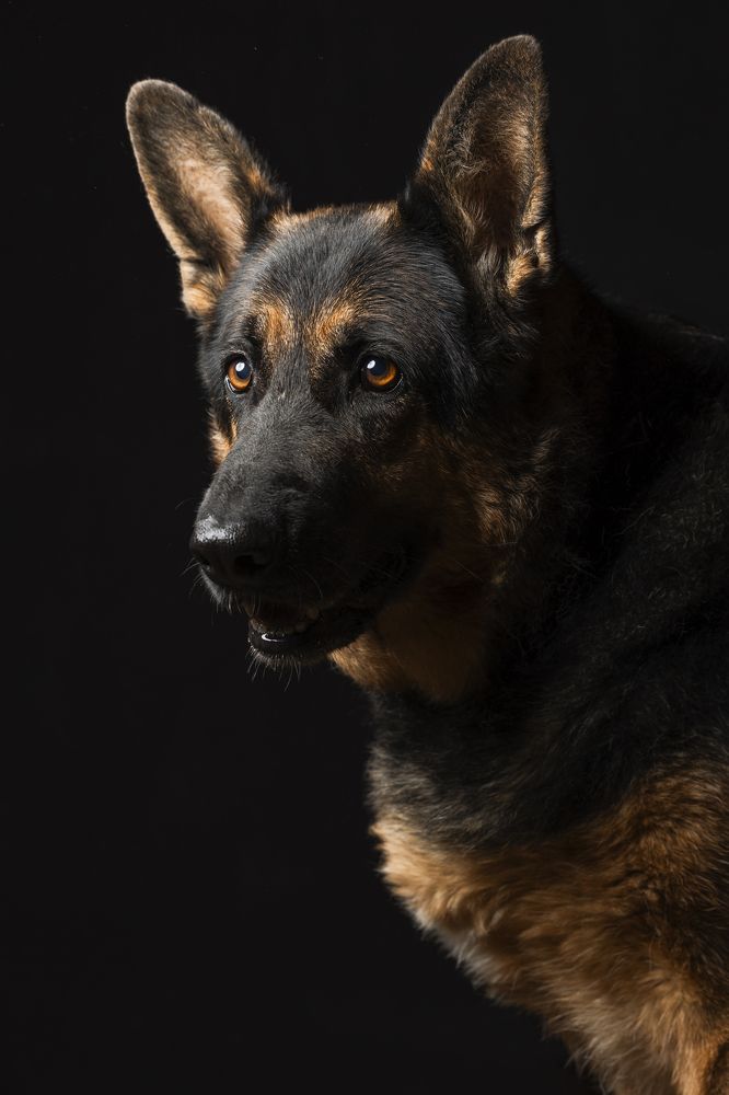 Photograph by Светлана Степашина