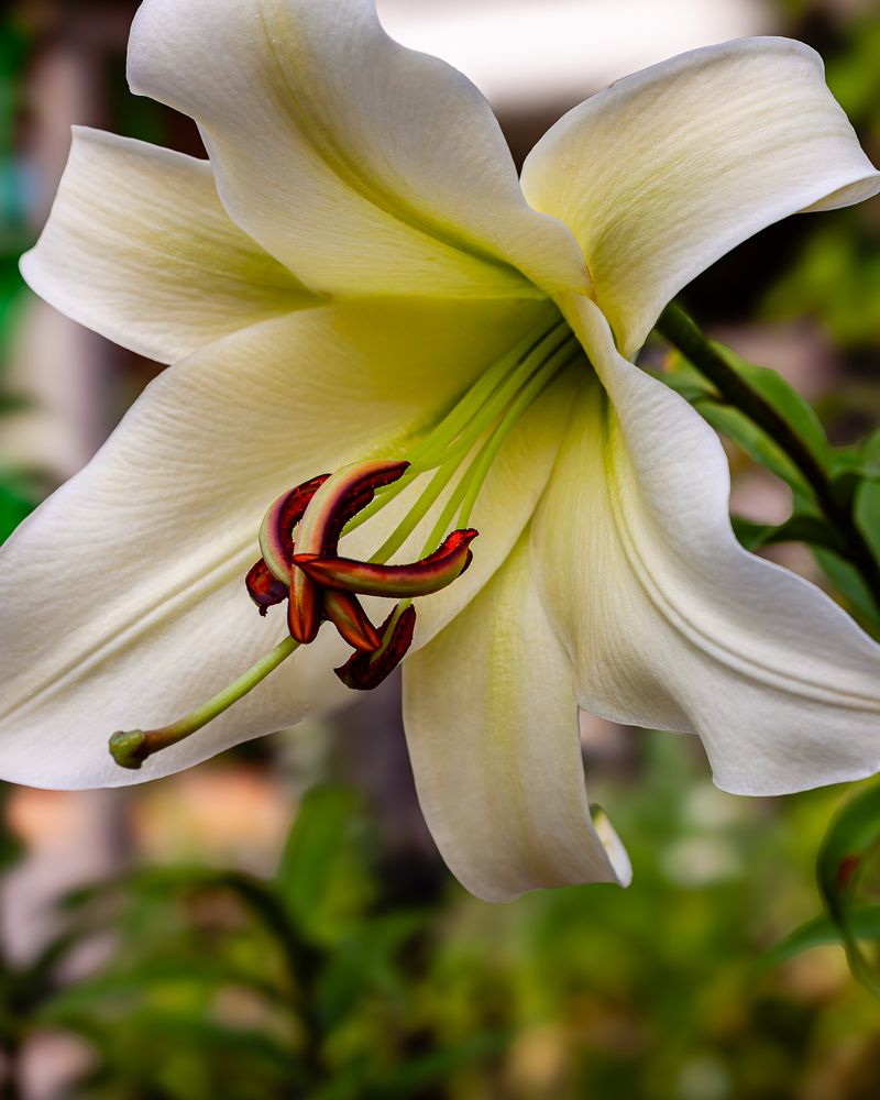 Photograph by Григорий