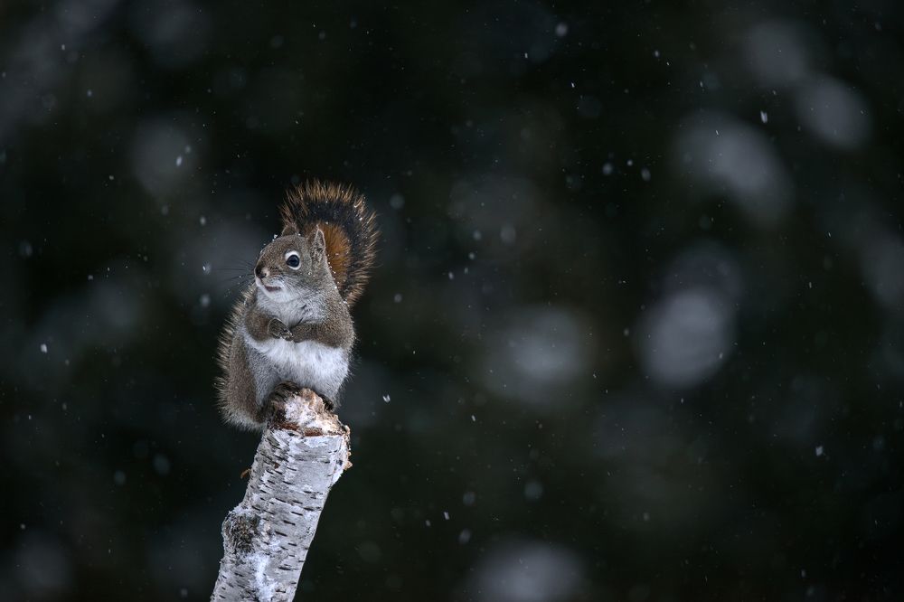 Photograph by Breanna J Marshall