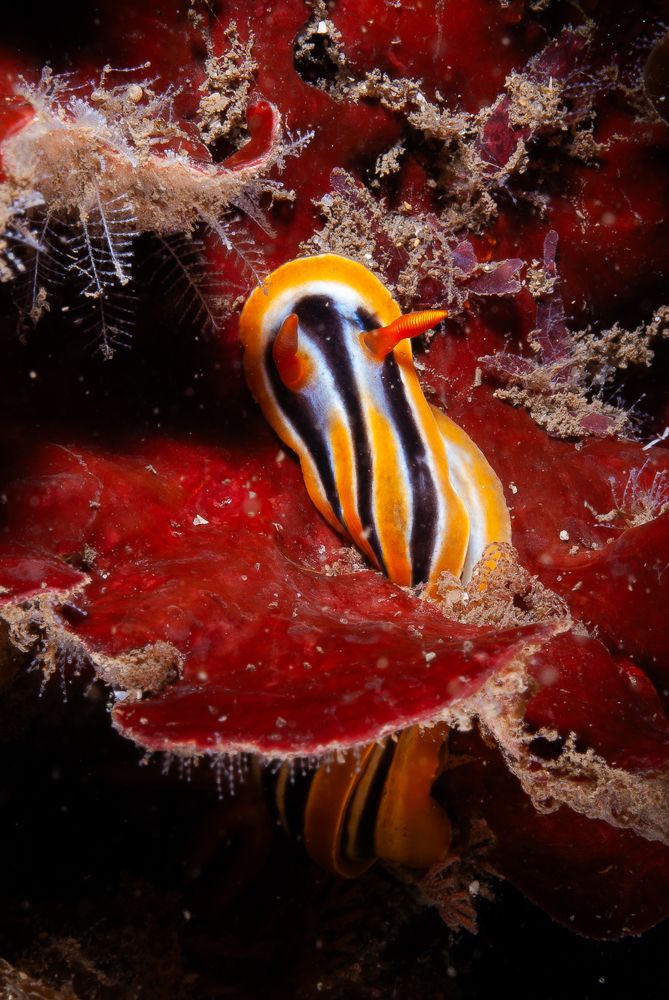 Photograph by Breanna J Marshall