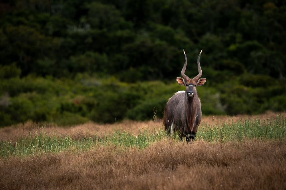 Photograph by Breanna J Marshall