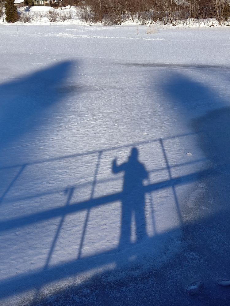 Photograph by Светлана Герасимчук