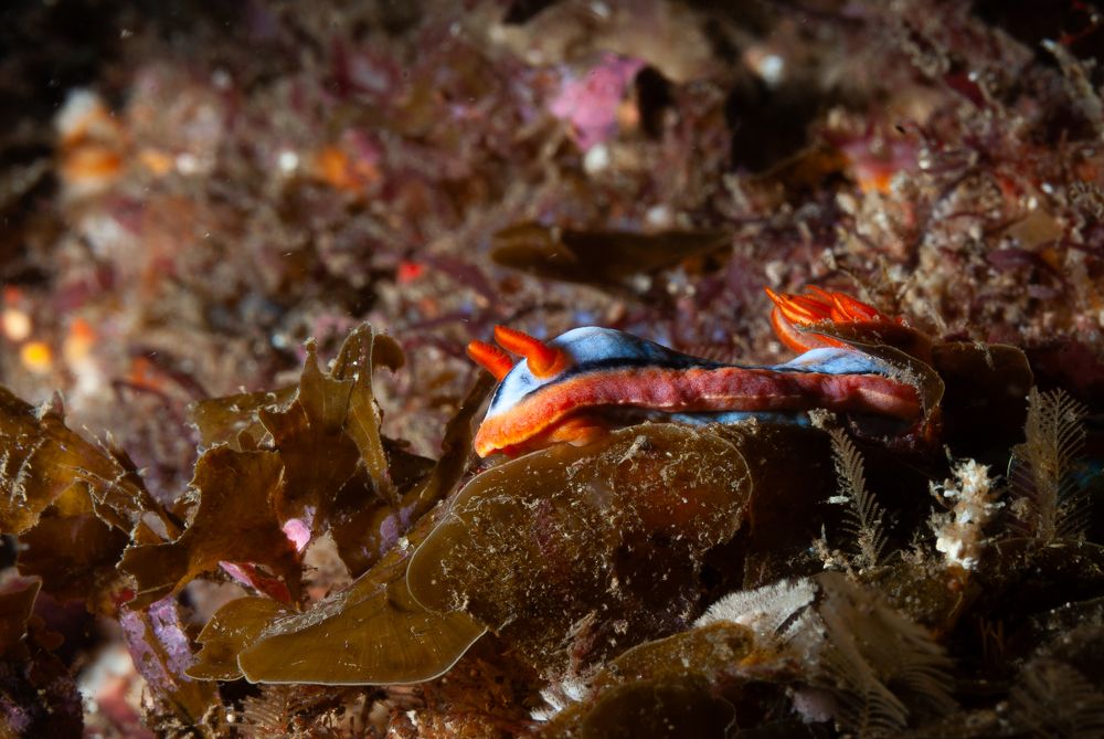 Photograph by Breanna J Marshall