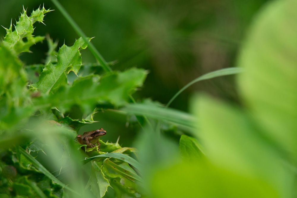 Photograph by Breanna J Marshall