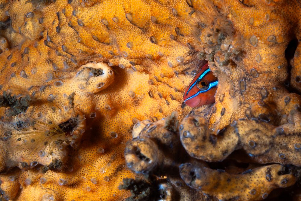 Photograph by Breanna J Marshall