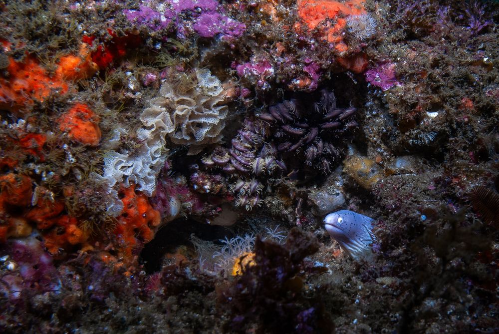 Photograph by Breanna J Marshall