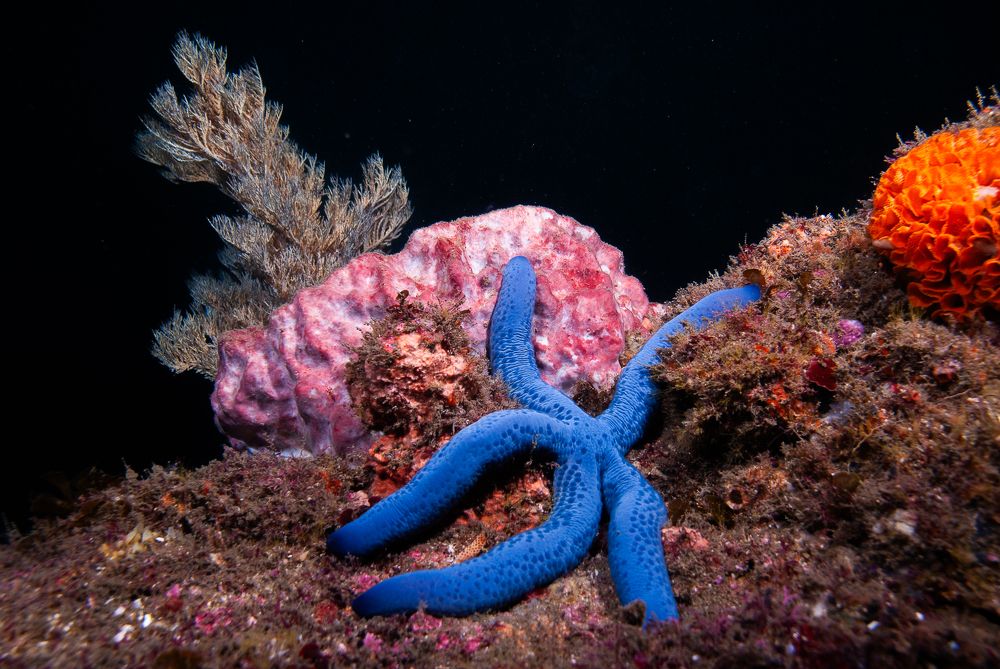 Photograph by Breanna J Marshall