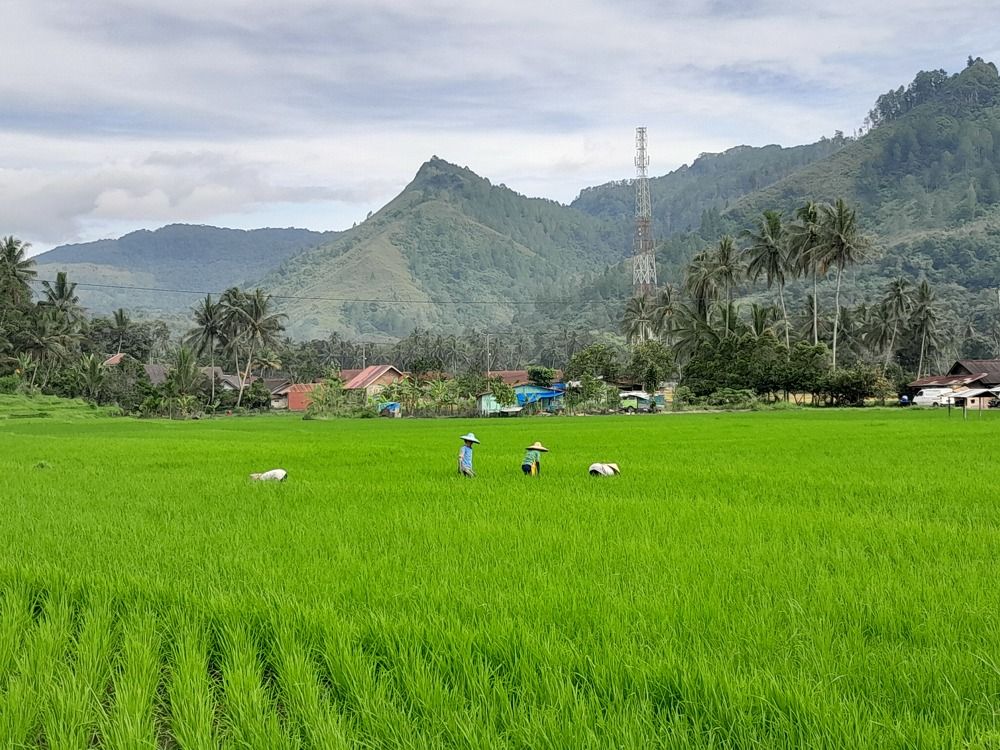 Фотография автора Zulfa