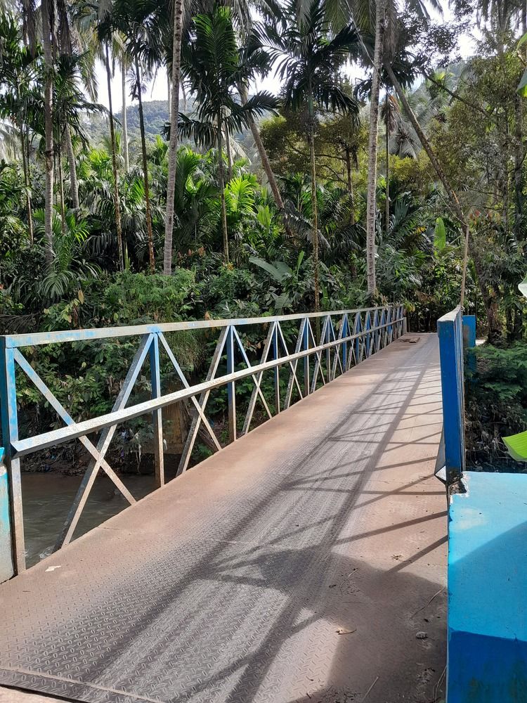 Фотография автора Zulfa