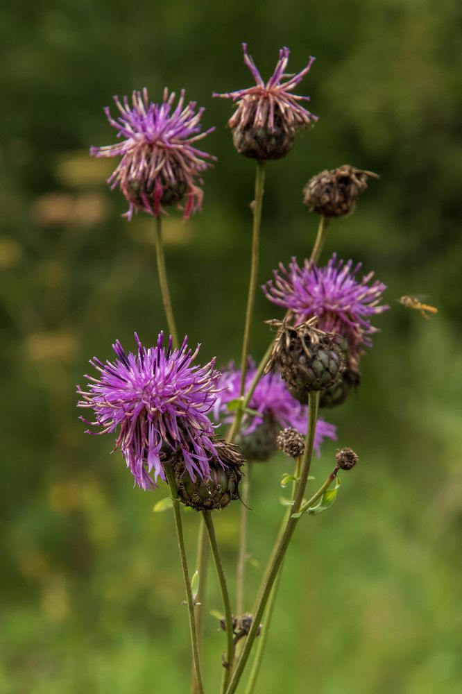 Photograph by Tvoigranitik