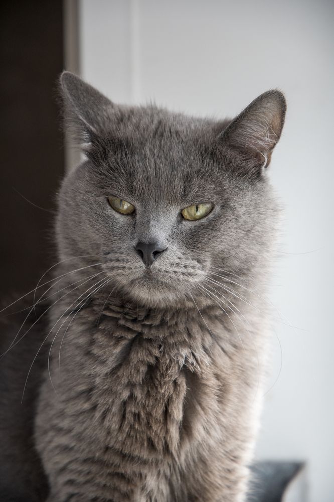 Photograph by Tvoigranitik