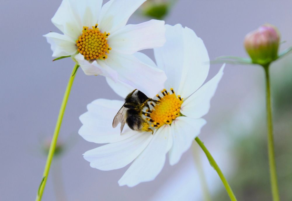 Photograph by Оксана Шарагина