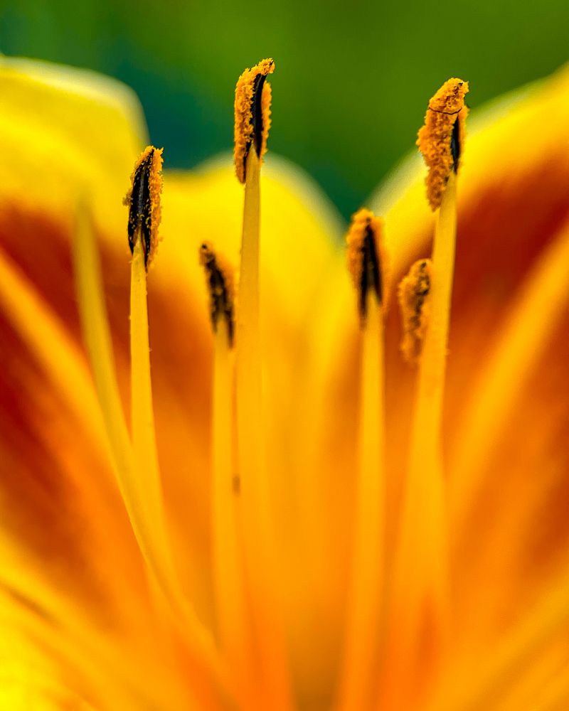 Photograph by Ольга Дорошенко