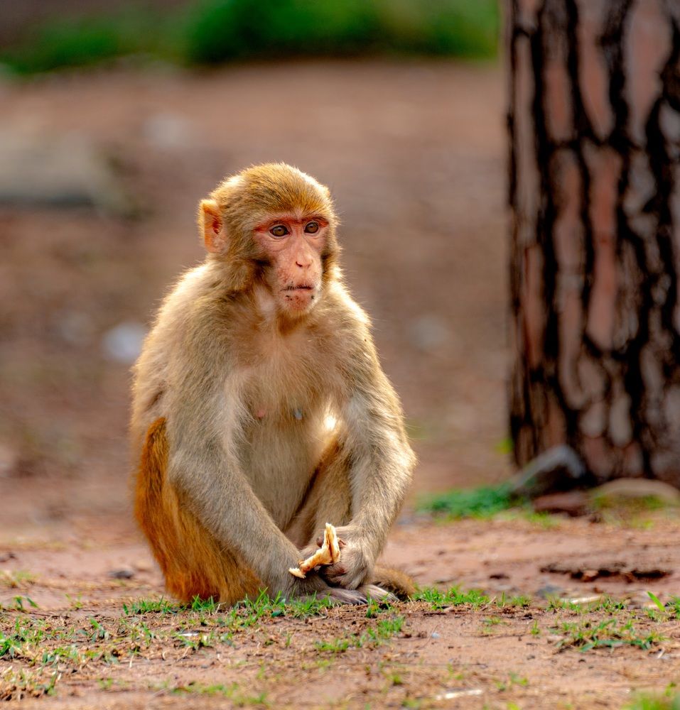 Photograph by Mansoob Haider