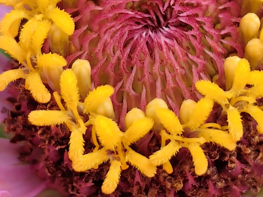 Photograph by Римма Бобрякова