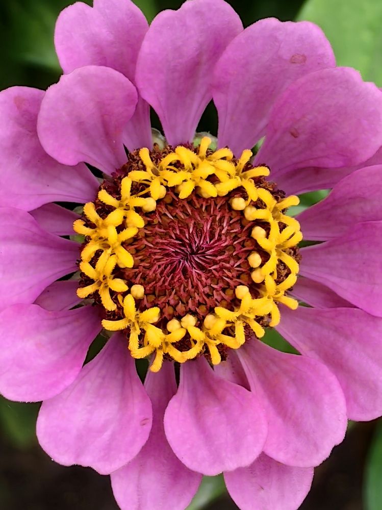 Photograph by Римма Бобрякова