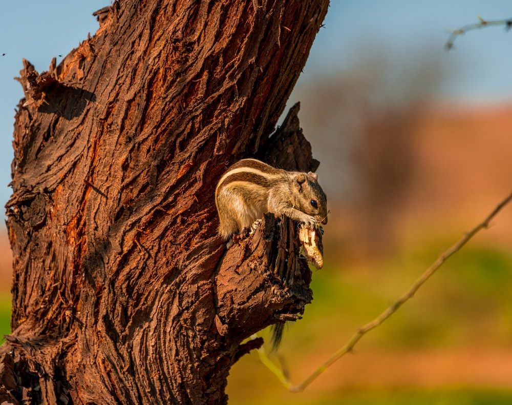 Photograph by Mansoob Haider