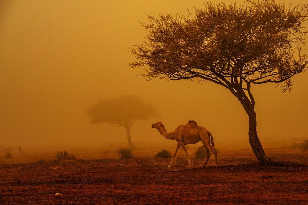 Photograph by Zubair Irshad