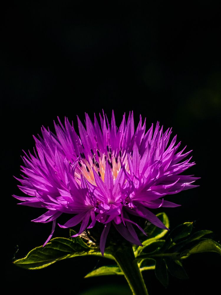 Photograph by Игорь Сухаревич