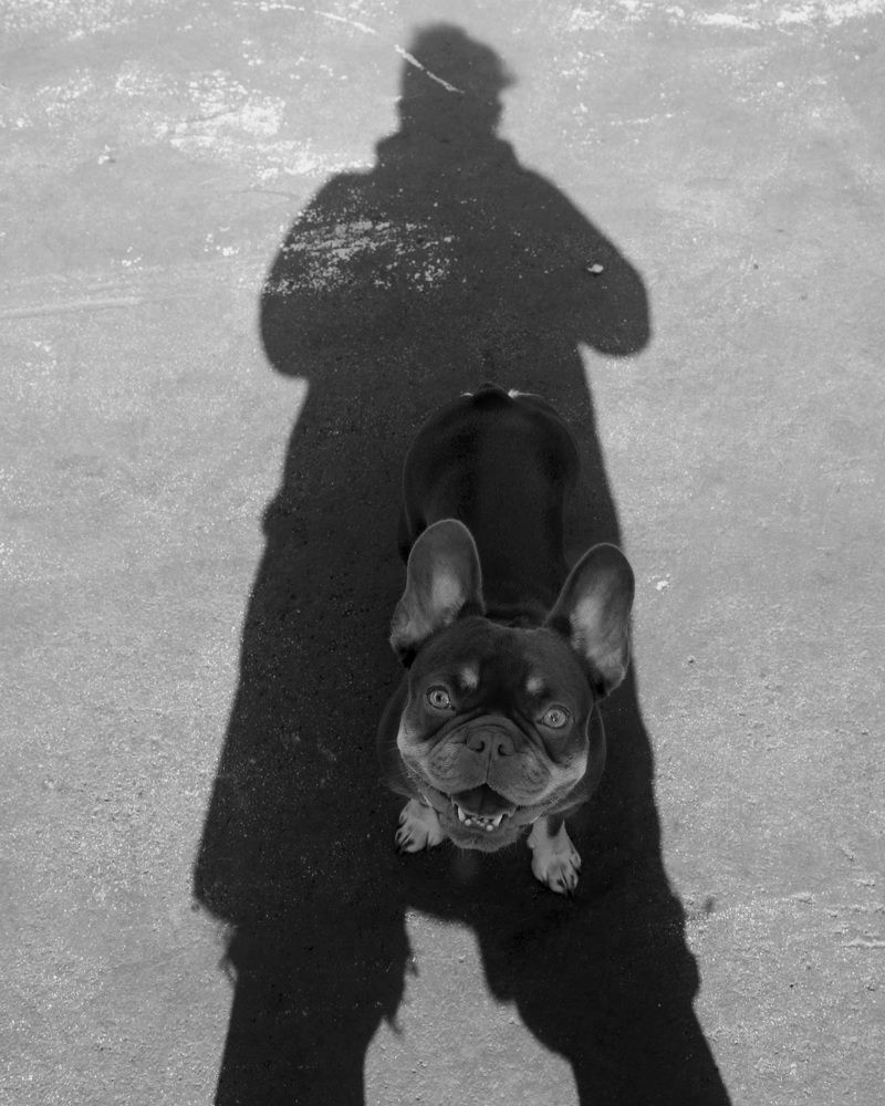 Фотография автора Tetiana Anpilova