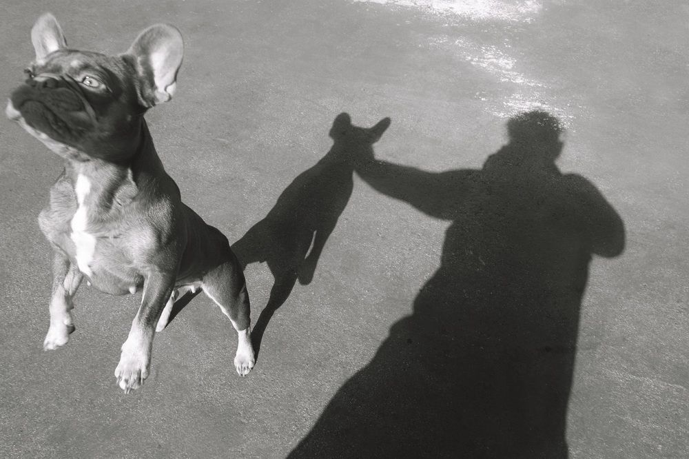 Фотография автора Tetiana Anpilova