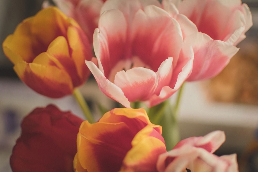 Photograph by Алена Полищук