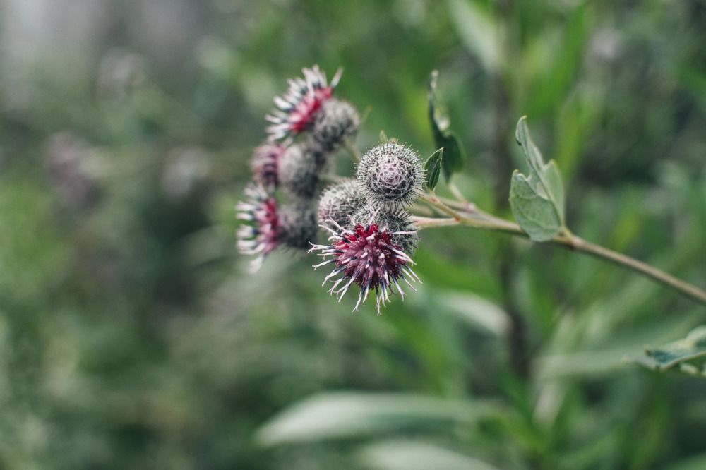 Photograph by Алена Полищук