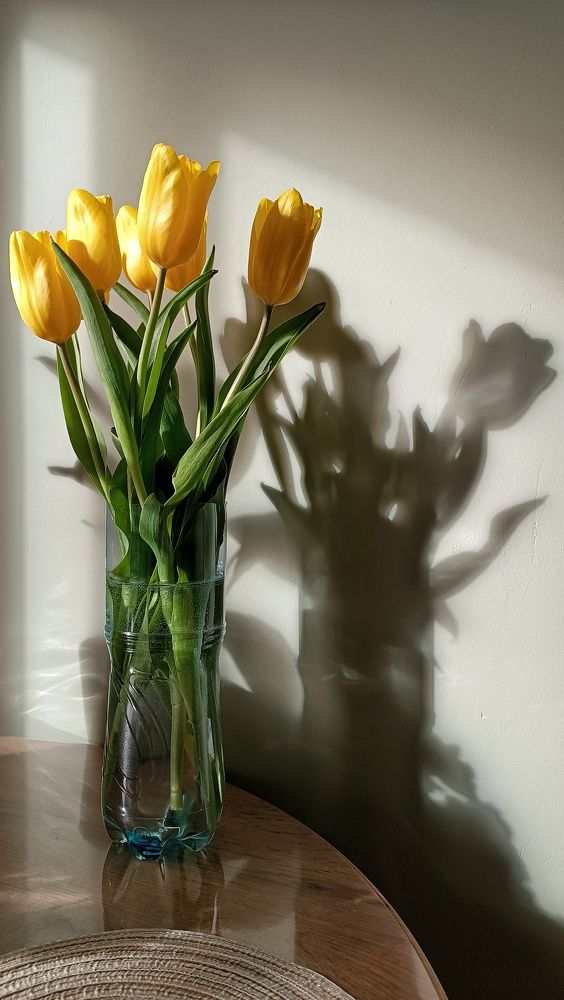 Photograph by Мария Иванова