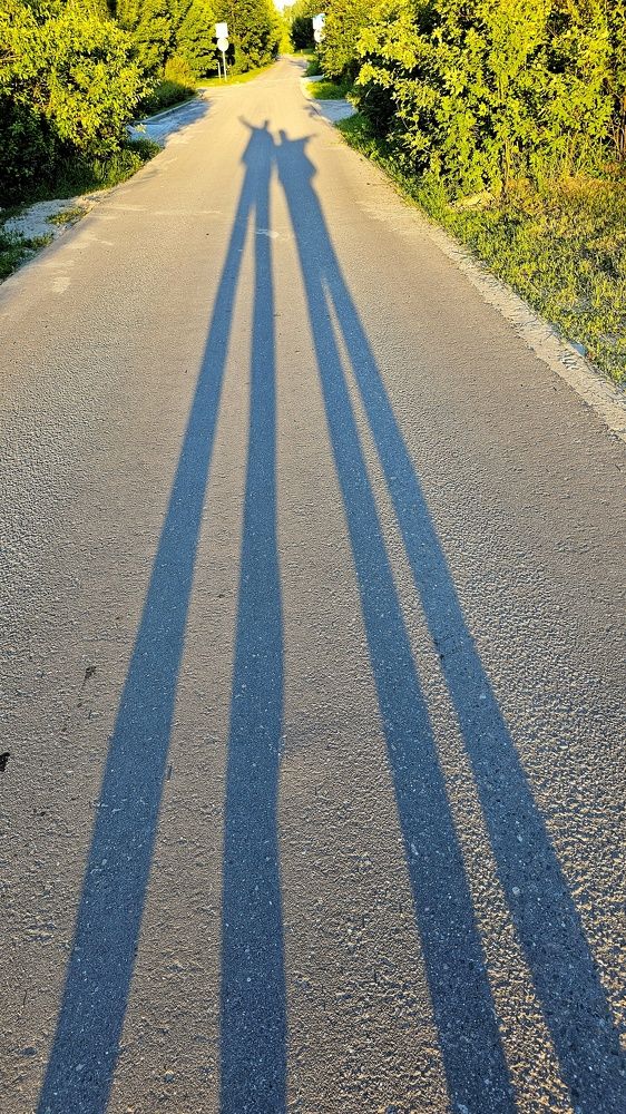 Photograph by Алексей Новиков