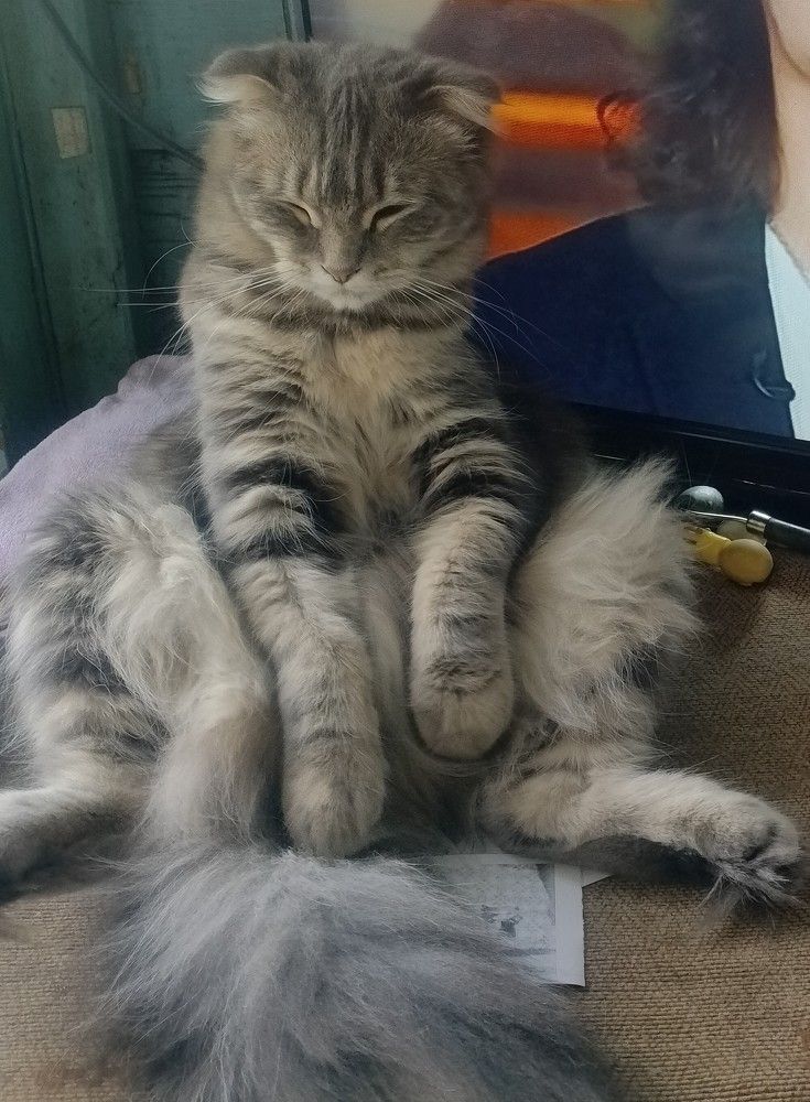 Photograph by Юлия Чувичилова