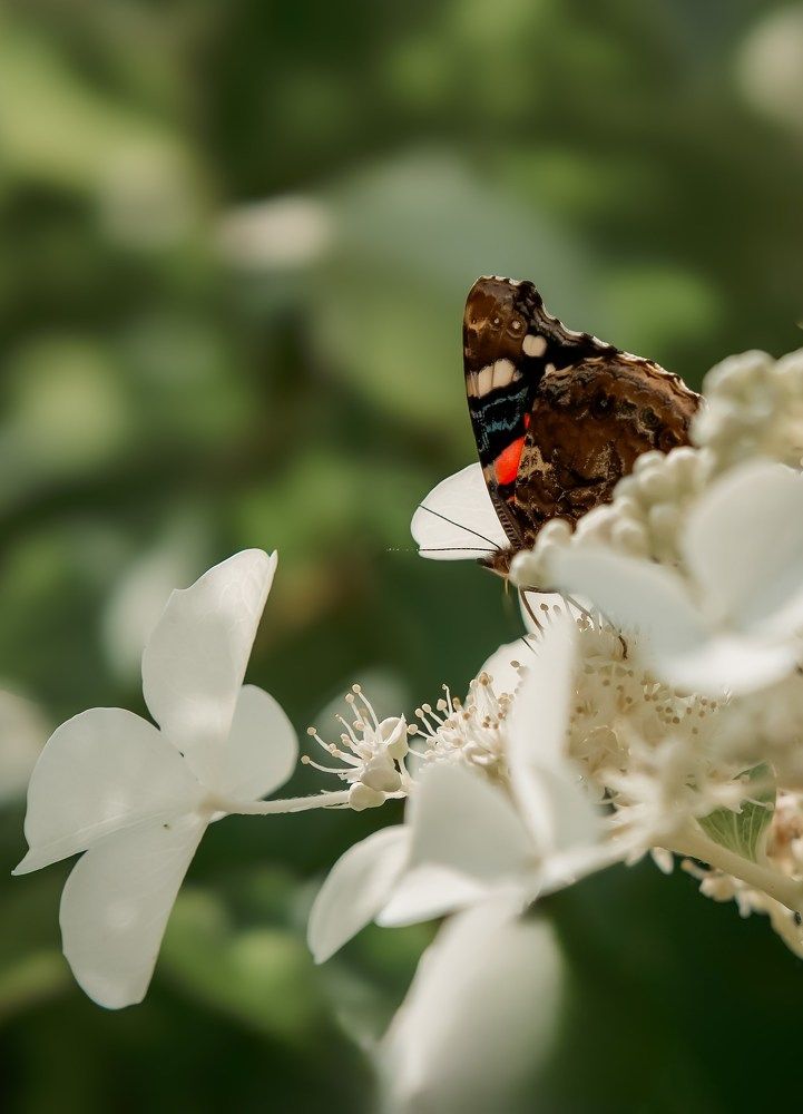 Photograph by Марина Суздаль