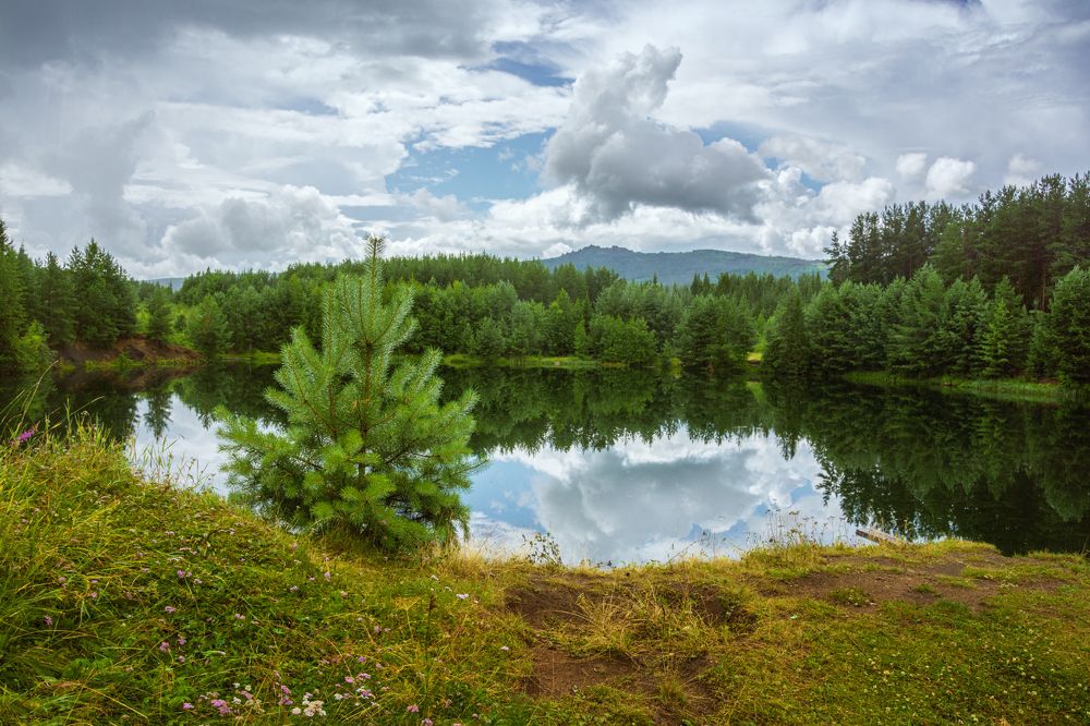 Photograph by Sergey Lebedev