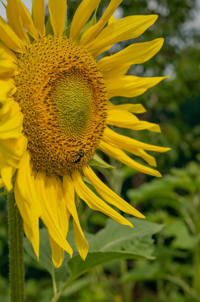 Photograph by Екатерина Каминская