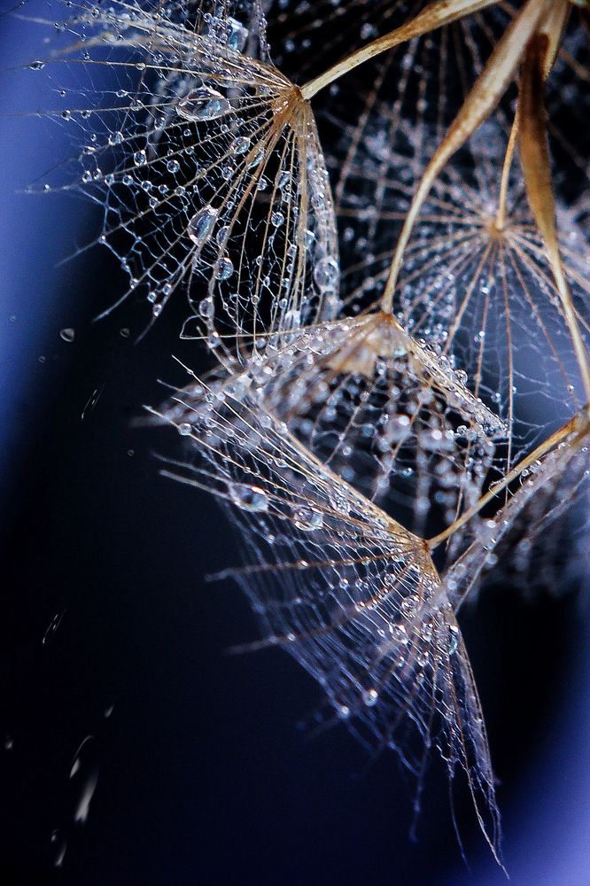 Photograph by Олеся Постнова