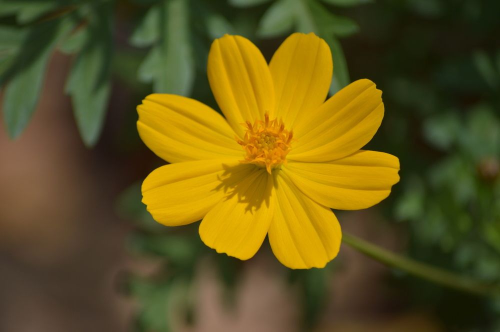 Photograph by Oscar Curo