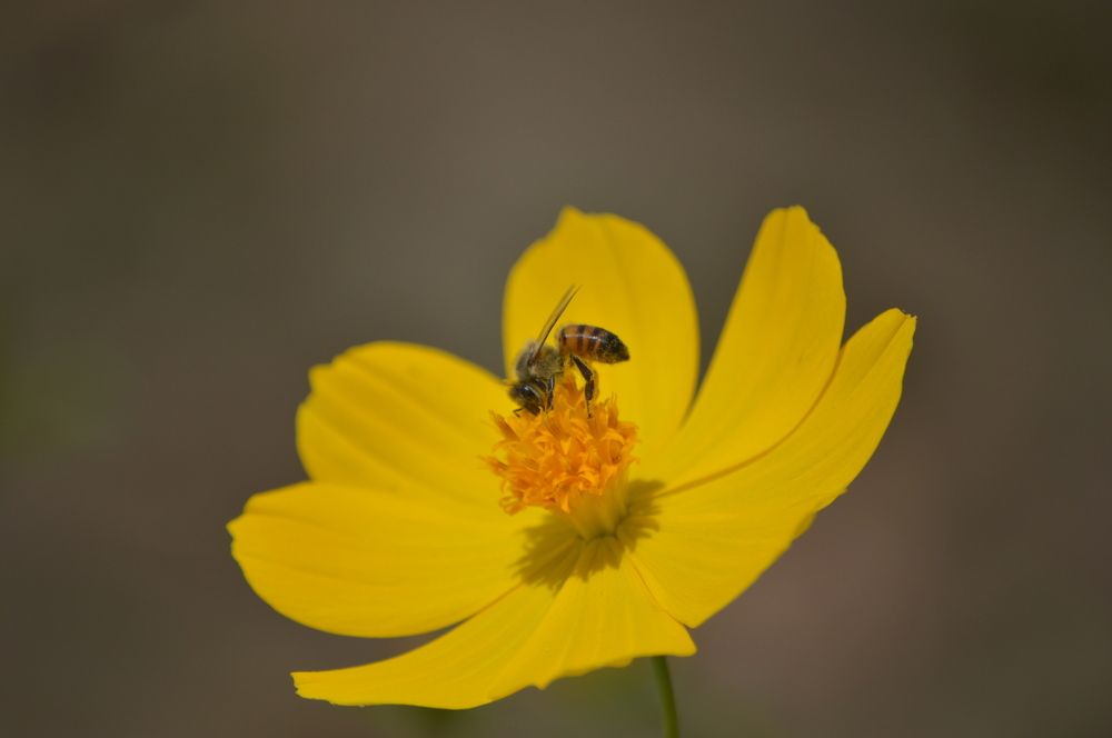 Photograph by Oscar Curo