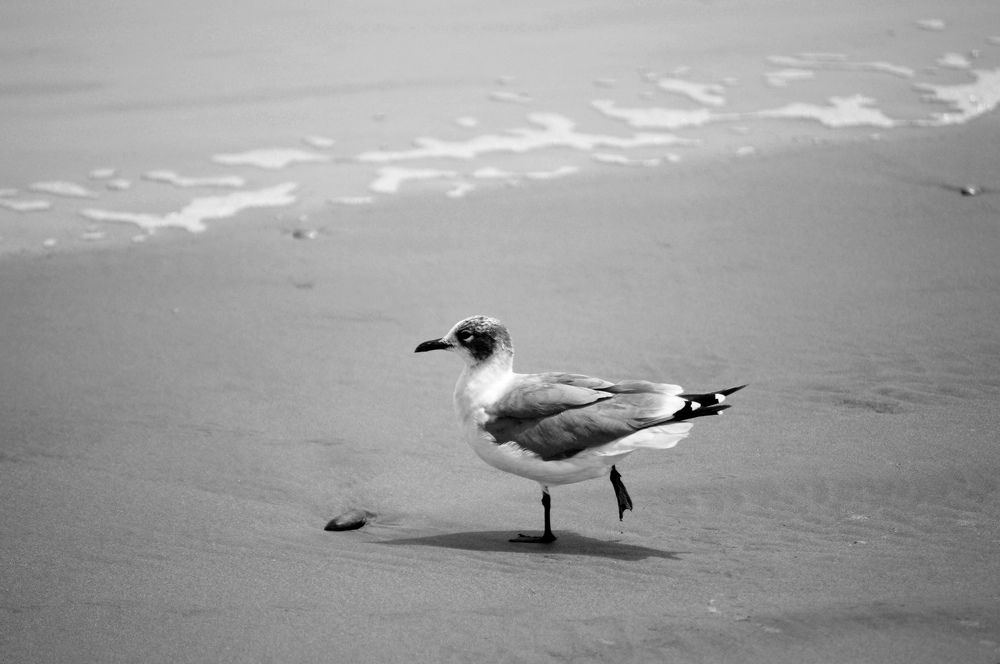 Photograph by Oscar Curo