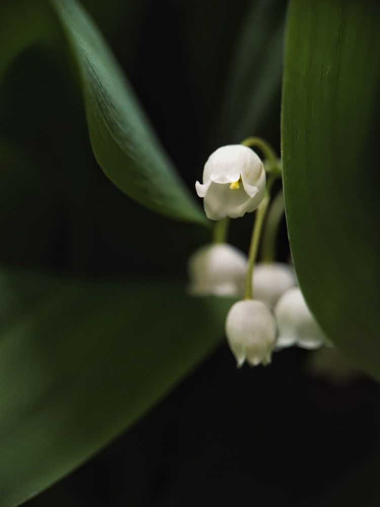 Photograph by Ольга Юминова