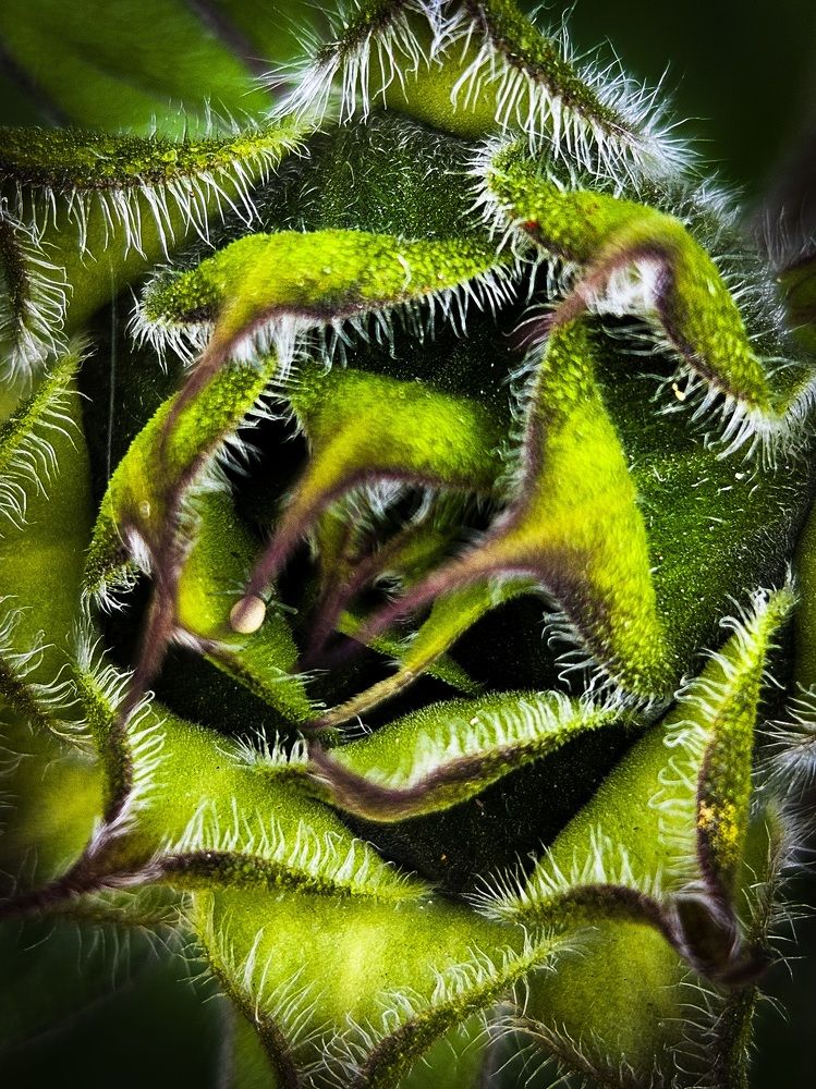 Photograph by Светлана Широкова