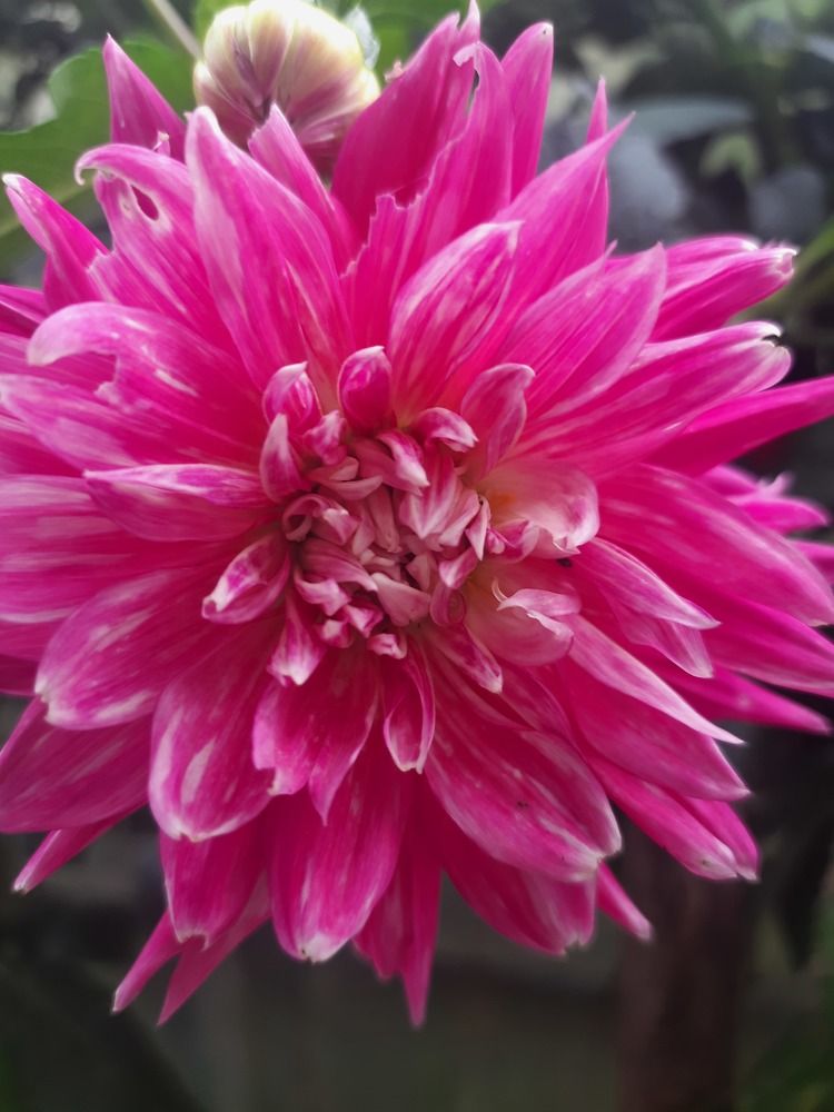 Photograph by Татьяна