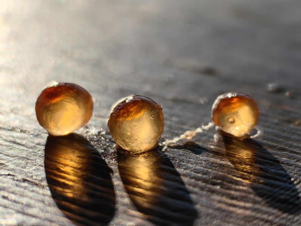 Photograph by Алексей Швайка