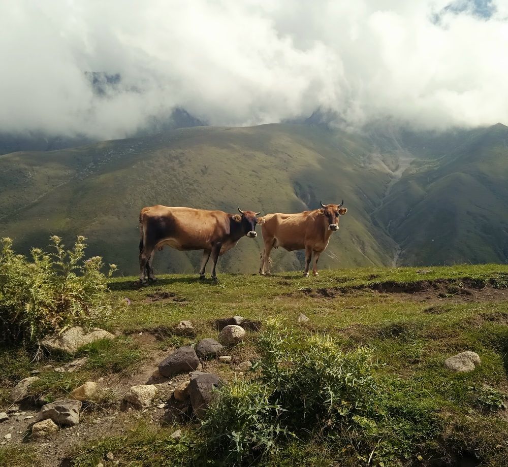 Photograph by Наталья Покрепина