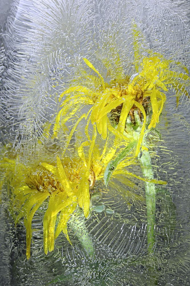 Фотография автора Юлий Ахромеев